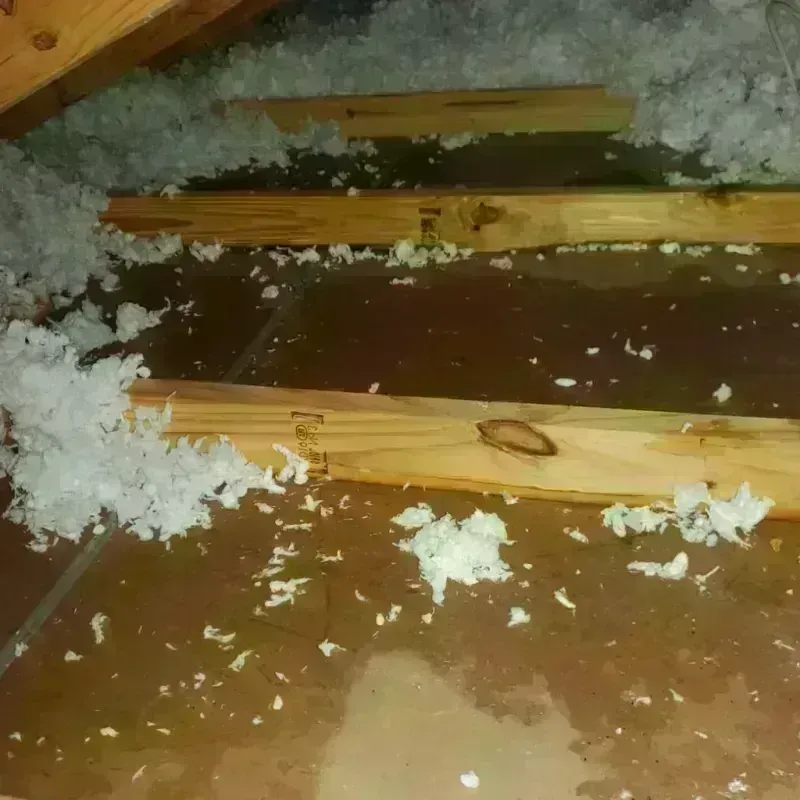 Attic Water Damage in Bay Minette, AL